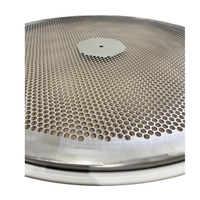 Up close view of our perforated plate screen on a screen ring, with a screen gasket