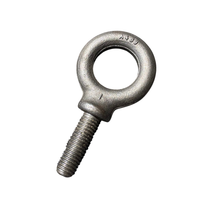 Motor Lifting Eye Bolt