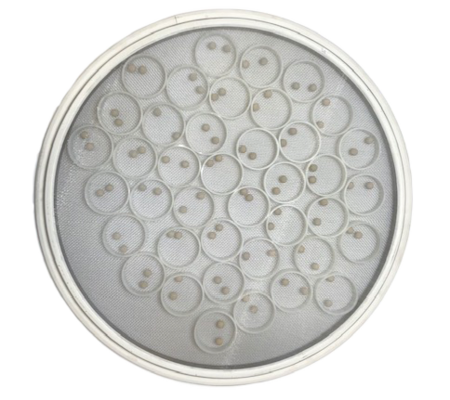 24 inch Self-Cleaning Sandwich Screen with de-blinding balls and nylon sliders for Sweco style vibratory separators